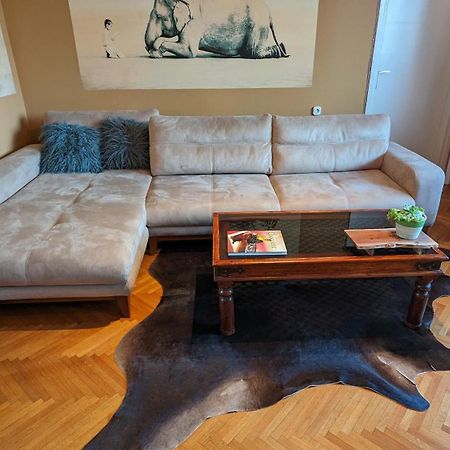 נובי סאד Center, Private Garage, Danube & Fortress, 3 Bdrm 2 Bath מראה חיצוני תמונה