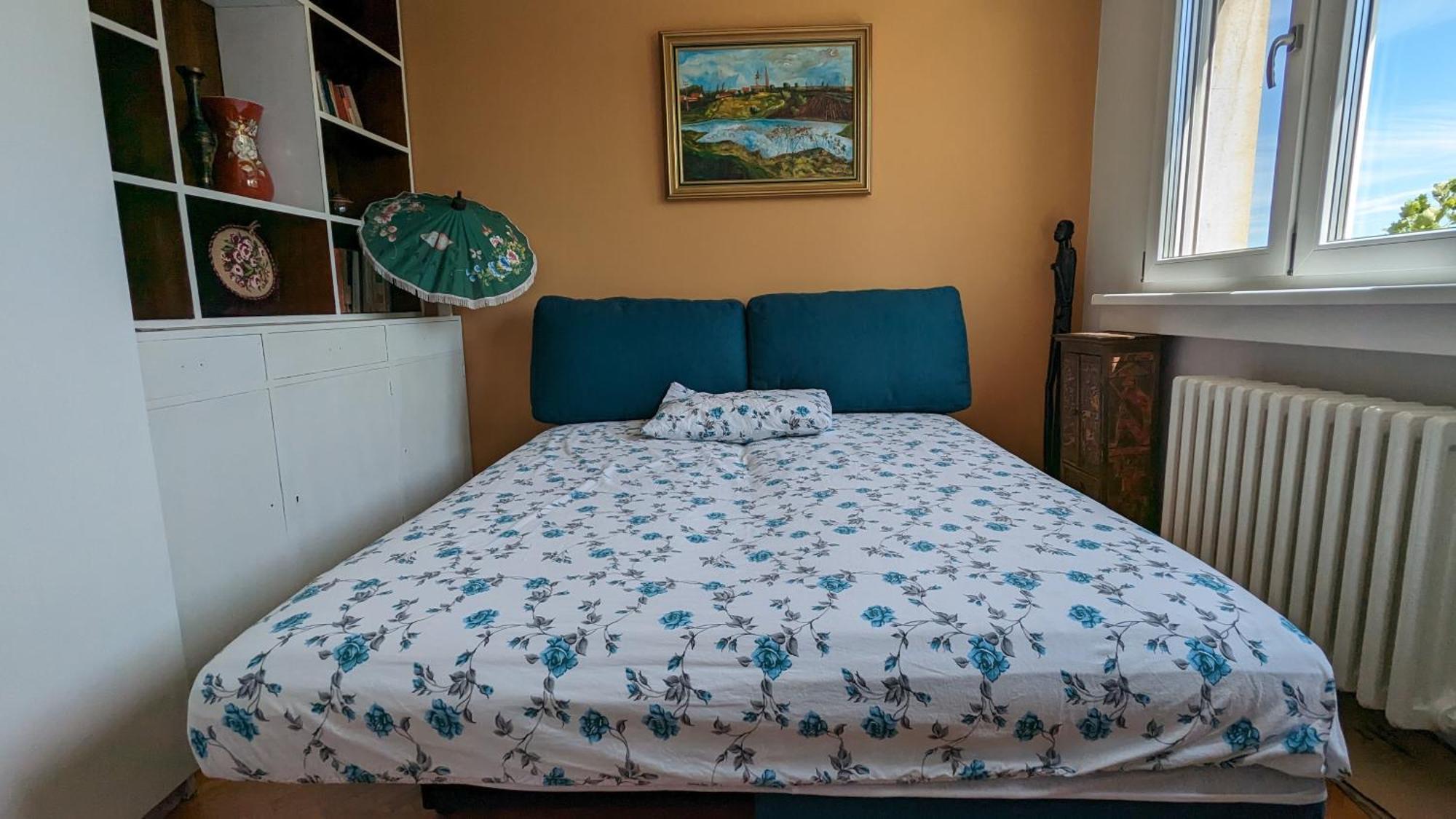 נובי סאד Center, Private Garage, Danube & Fortress, 3 Bdrm 2 Bath מראה חיצוני תמונה